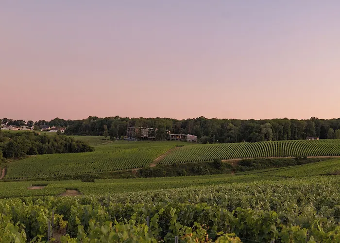Loisium Wine & Spa Hotel Champagne
